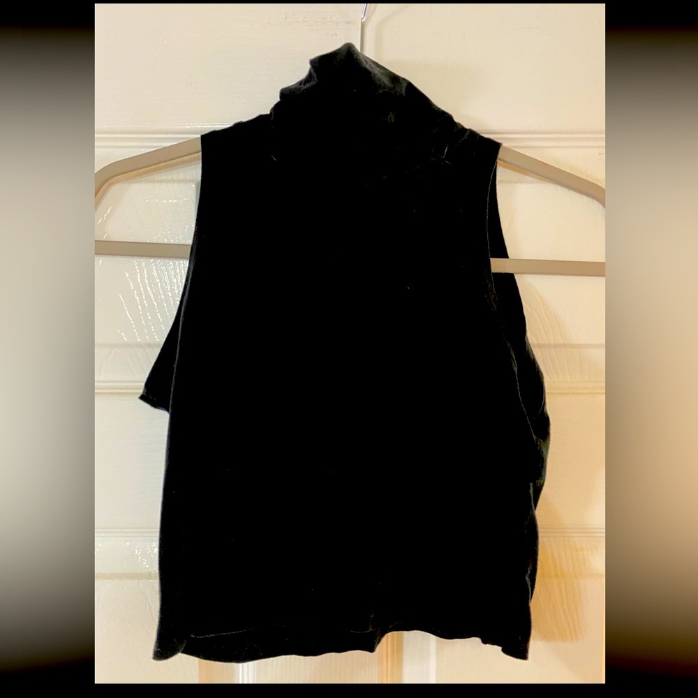 American Eagle Outfitters Cropped Turtleneck Tank Top